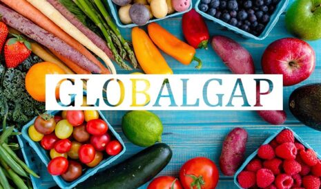 GLOBAL GAP standard Srbija nova verzija standarda